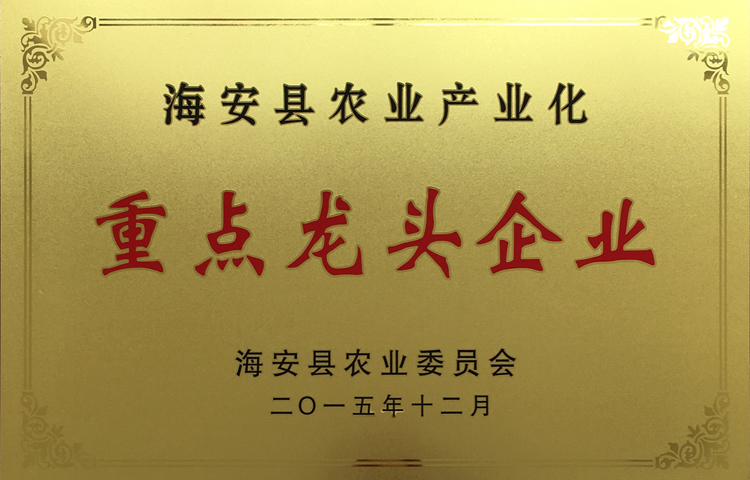 龍頭企業(yè)